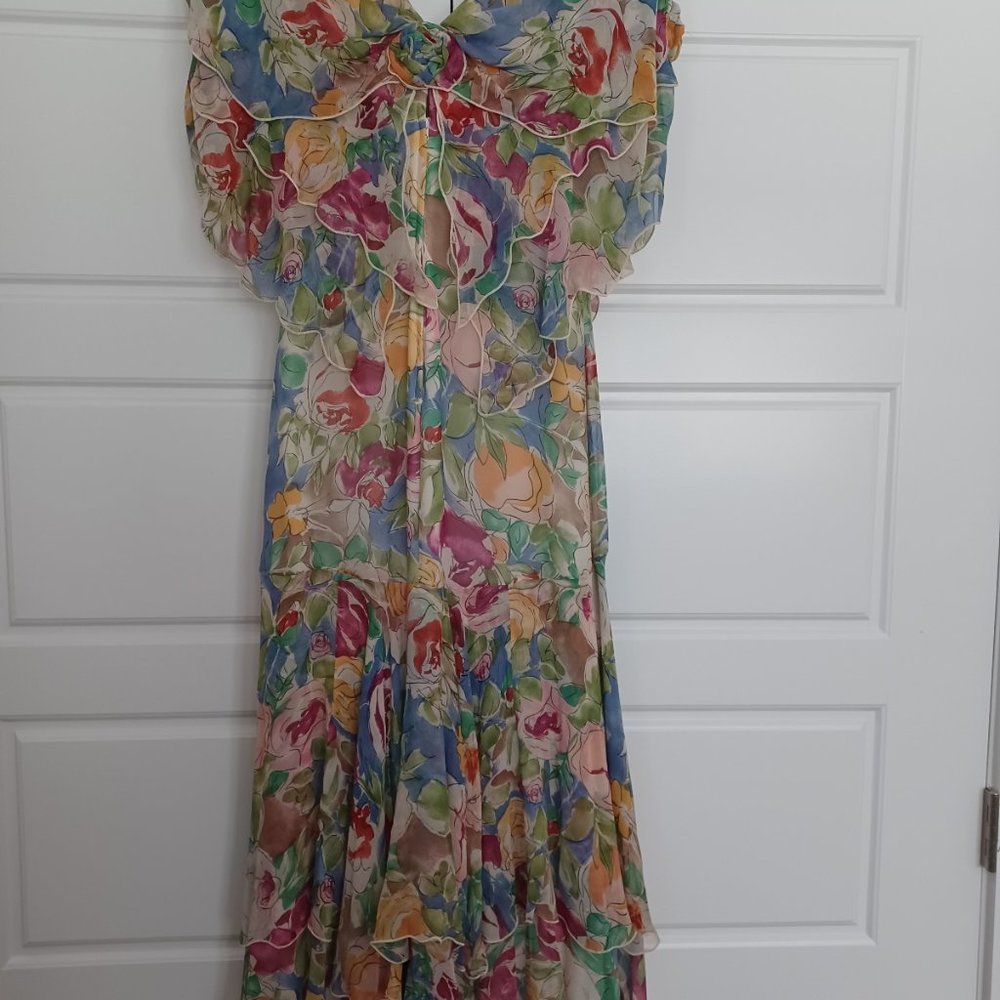 Holly Harp silk Chiffon tea length print dress